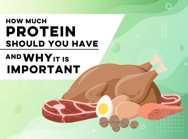 How Much Protein Should You Have & Why Is It Important?