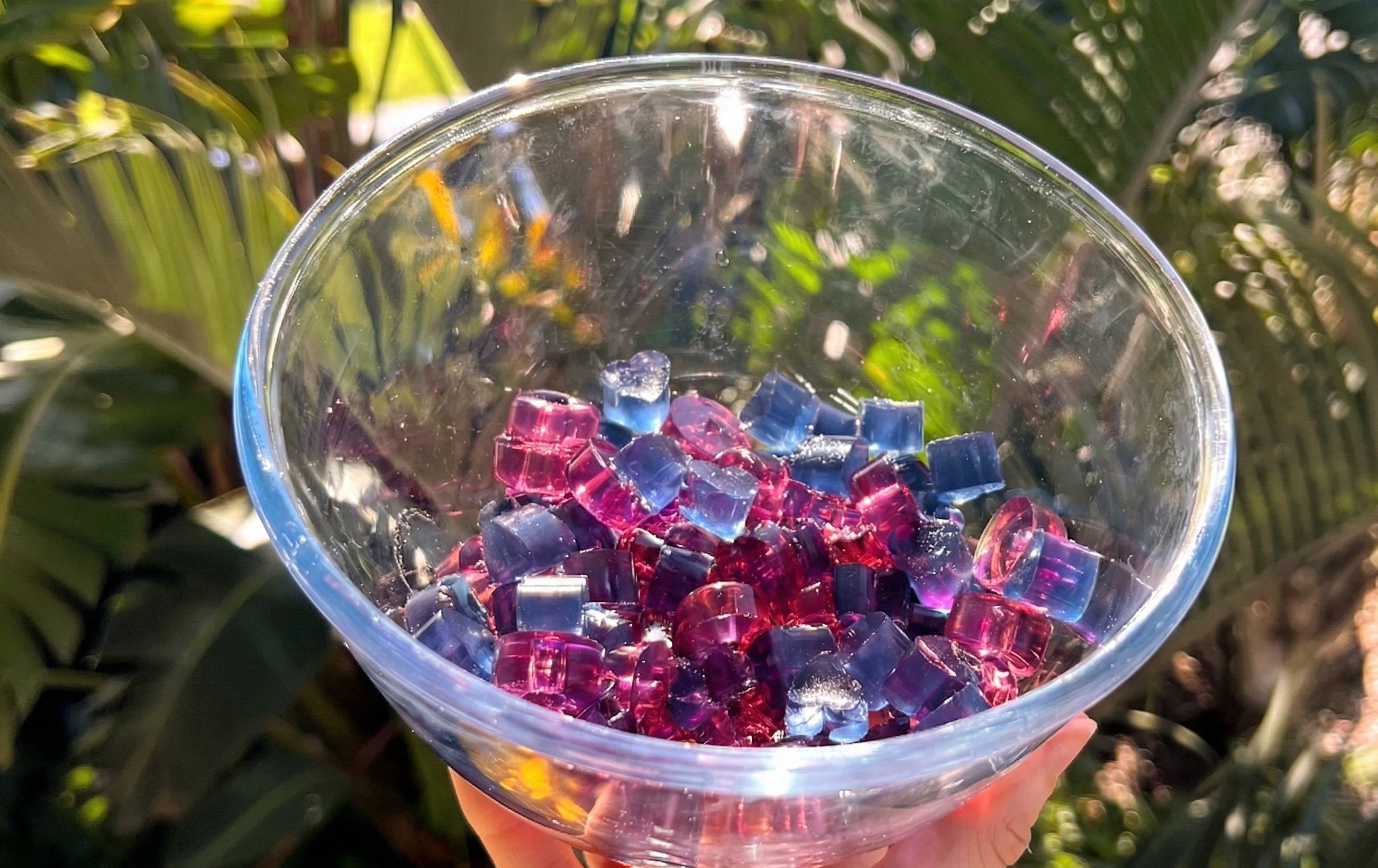 Collagen-Infused Jelly