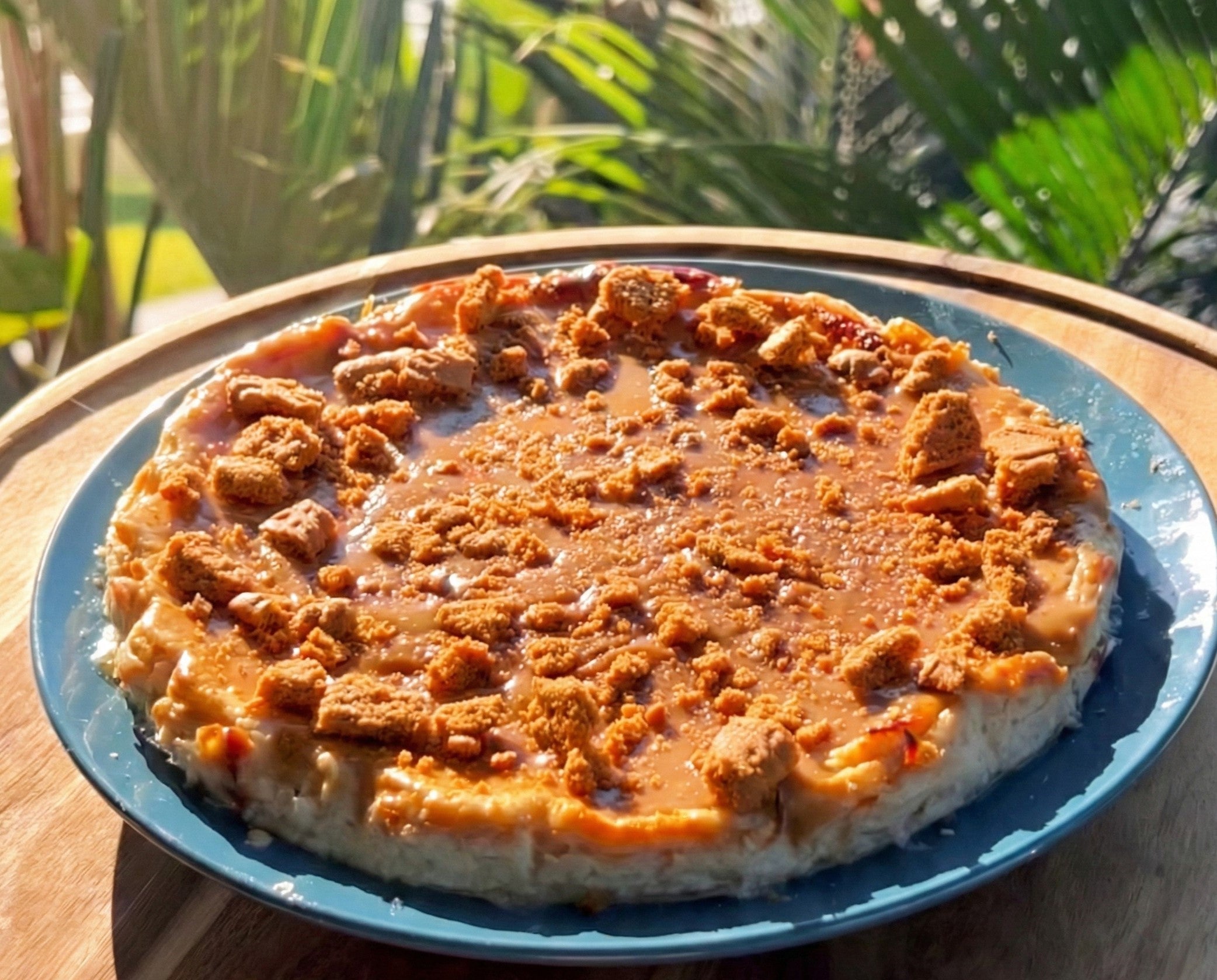 Biscoff Protein Cheesecake