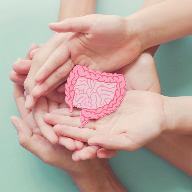 Gut Health