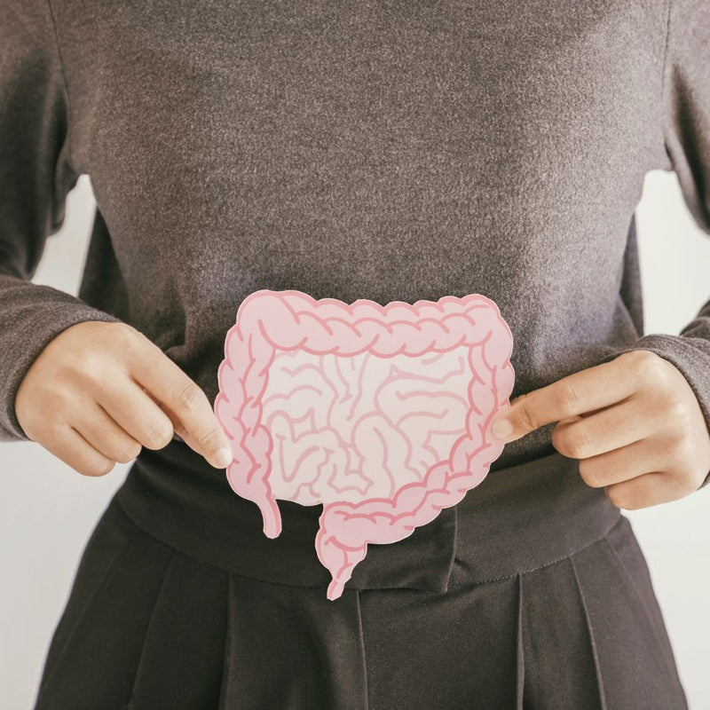 Gut Health Support